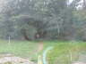 DSC00501